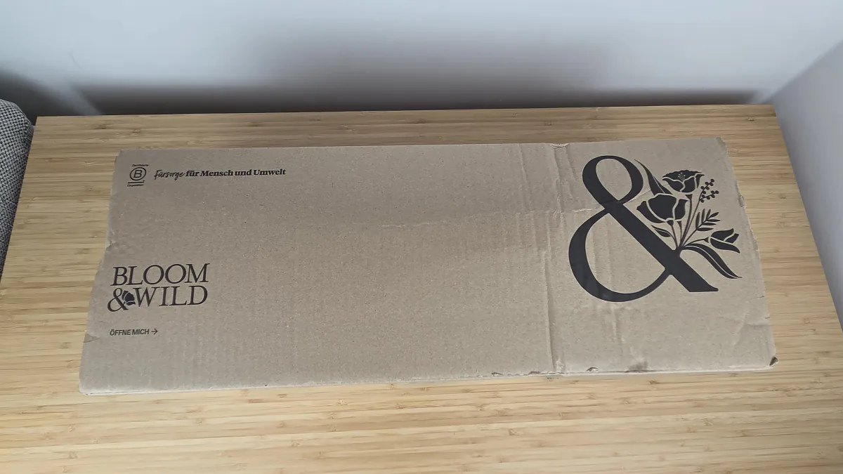 Ungeöffneter Bloom & Wild Versandkarton aus dem Testkauf mit großem Logo und dem Aufdruck Öffne mich