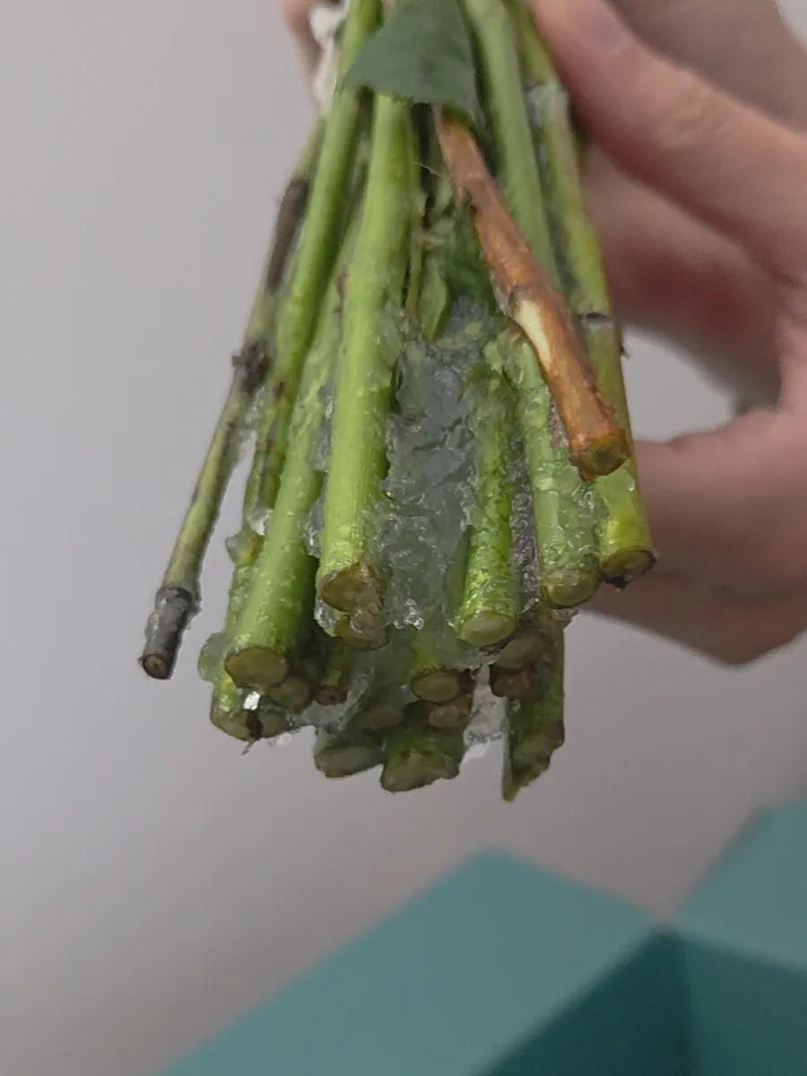 Stielenden des Bloom & Wild Straußes am Liefertag mit Resten des Gels aus dem Versandbeutel