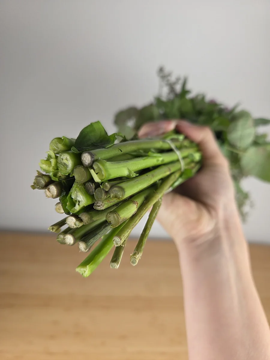 Stielenden des Bloomy Days Straußes am Liefertag, lang und unten nicht entlaubt