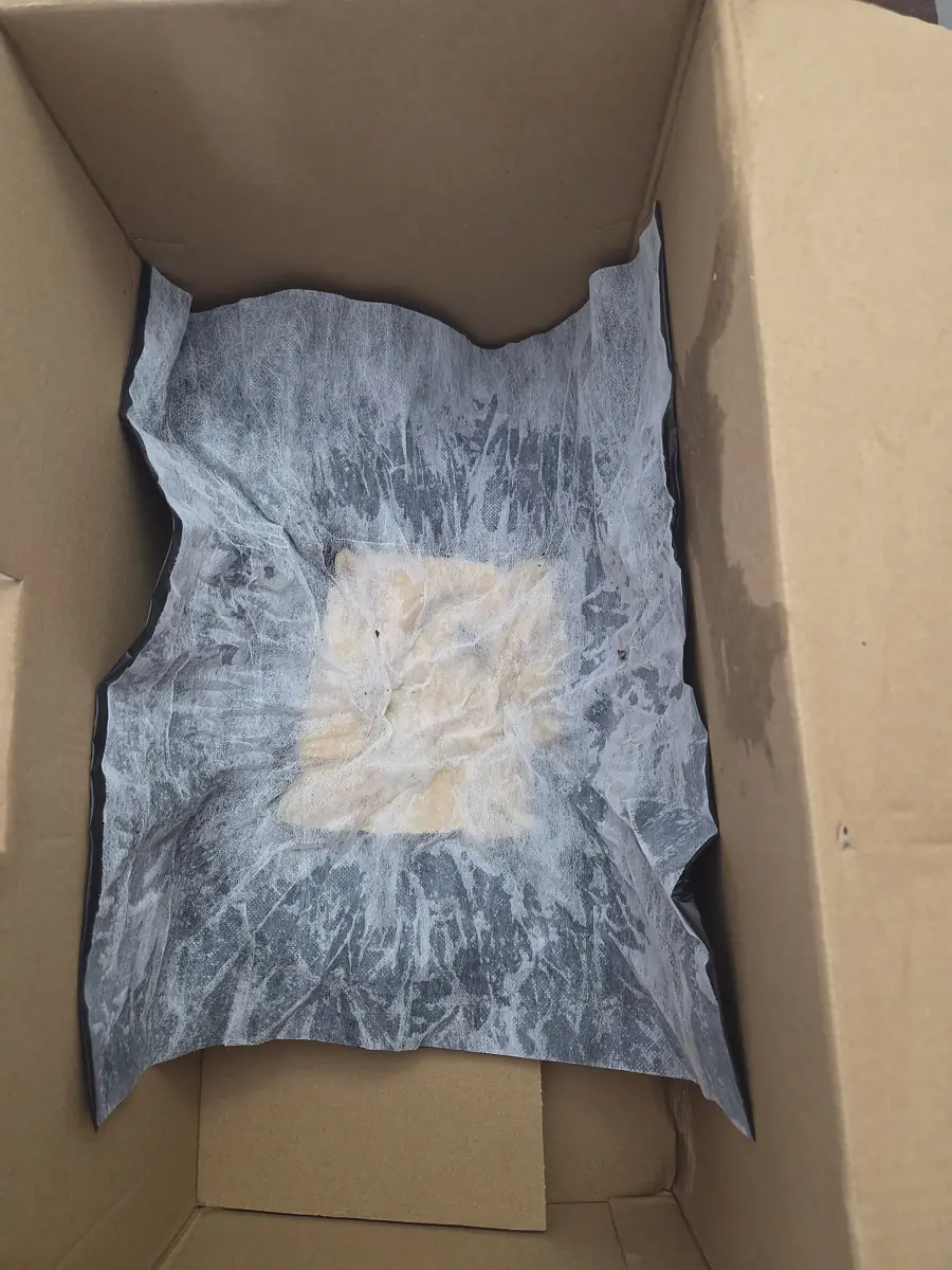 BLUME2000 Versandkarton geöffnet, der Strauß war im feuchten Vlies mit Wasserdepot verpackt