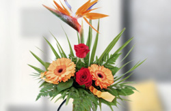 Blumenversand Bluvesa.de