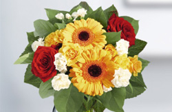 Blumenversand Bluvesa.de