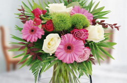 Blumenversand Bluvesa.de