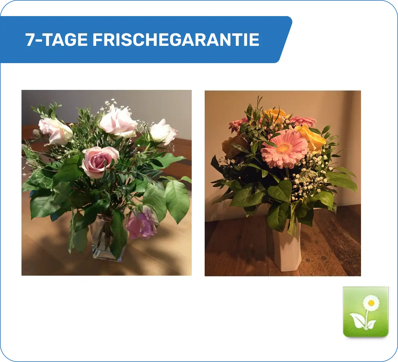 Fleurop Frische nach 7 Tagen