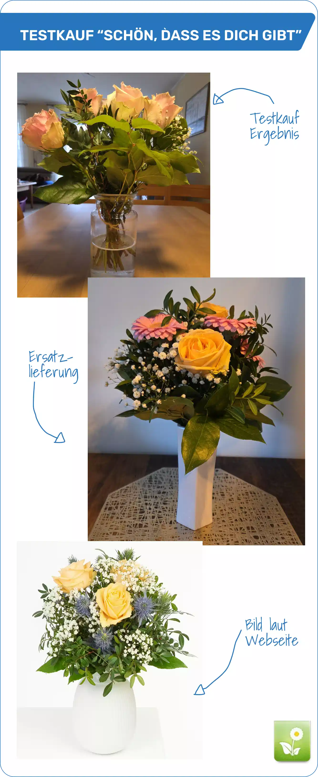 Blumenstrauß 'Schön, dass es dich gibt' Vergleich Website-Darstellung und Realität