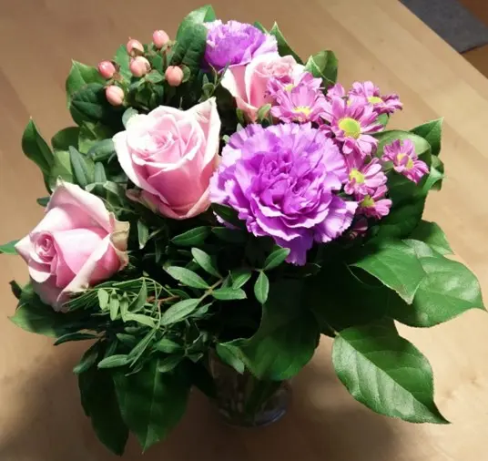 FloraPrima Frische nach 7 Tagen