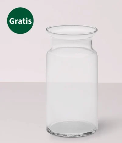 FloraPrima Gratis-Glasvase Sarah aus dem Testkauf, hochwertiges Glas mit 25 × 11 cm