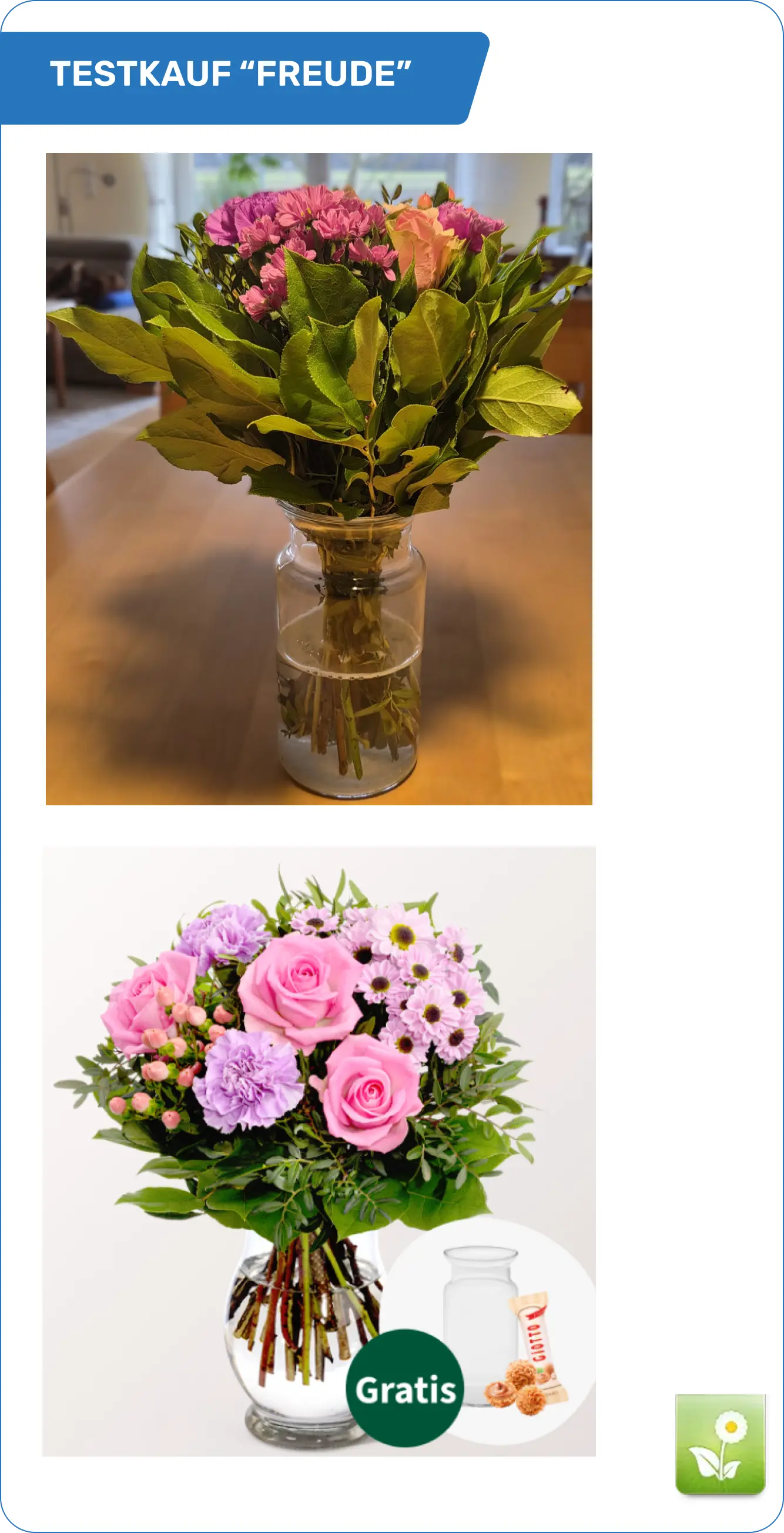 Blumenstrauß "Freude" Vergleich Website-Darstellung und Realität