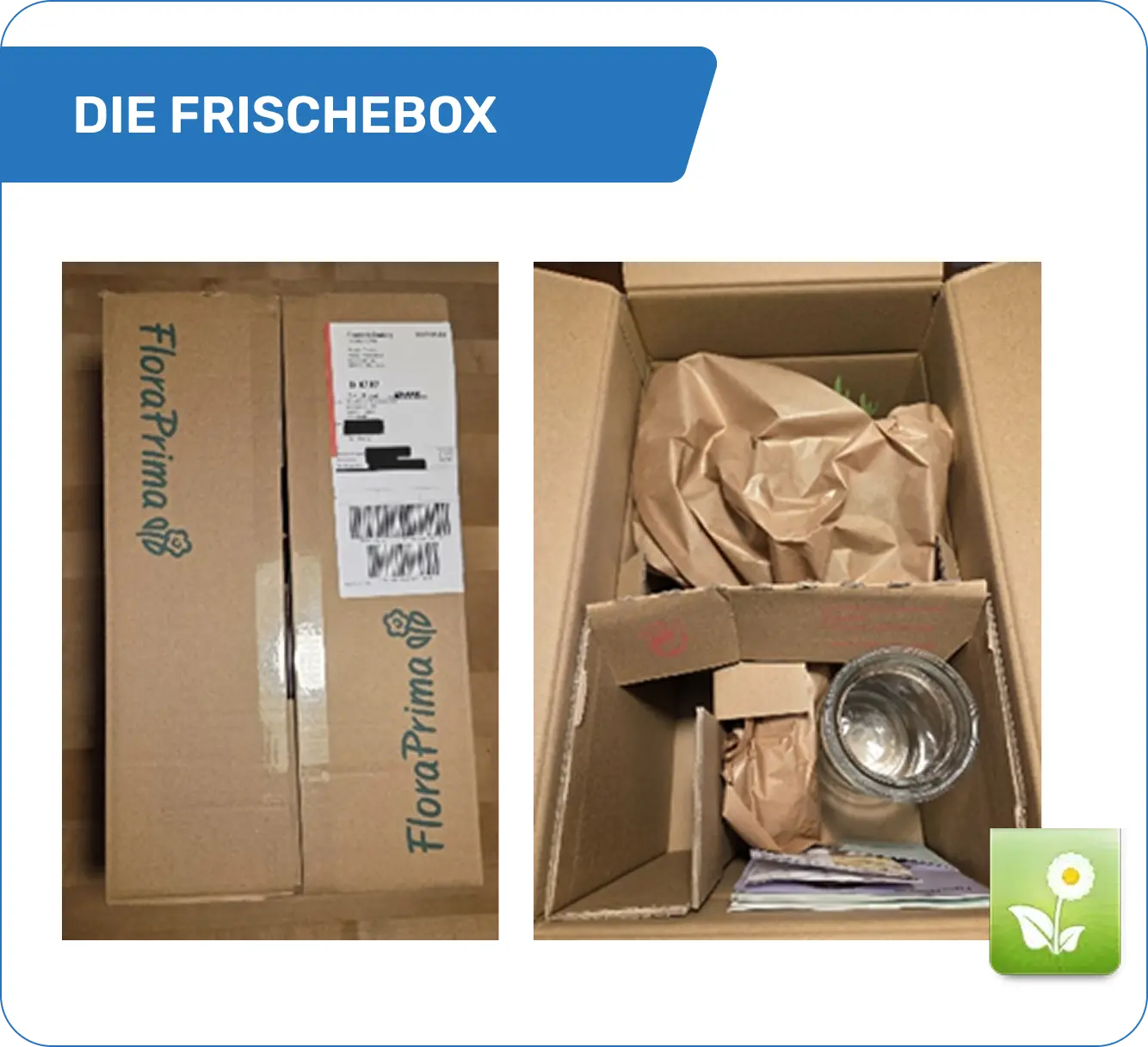 Blumenstrauß Freude in der FloraPrima Frischebox