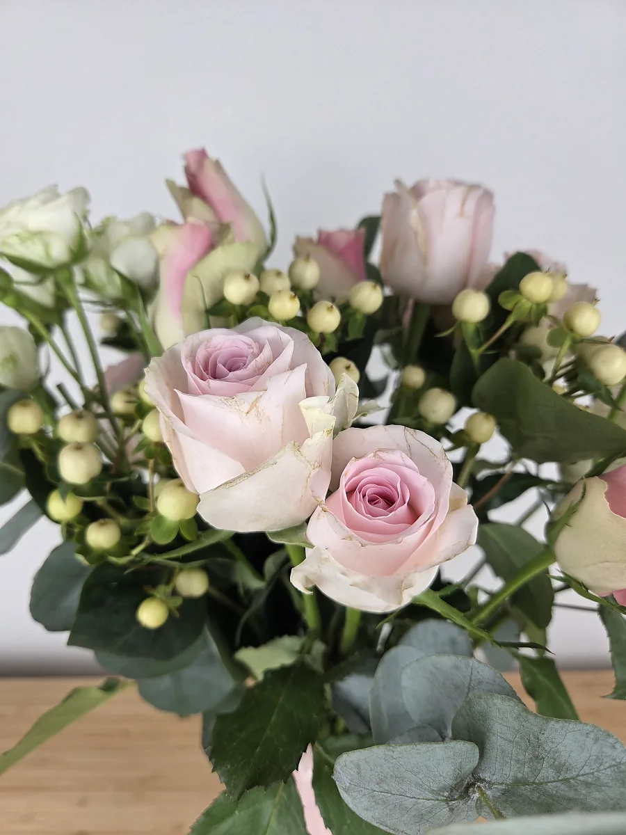 Nahaufnahme zweier zartrosa Rosen von Bloom & Wild an Tag 1 mit bräunlichen Rändern an den äußeren Schutzblättern