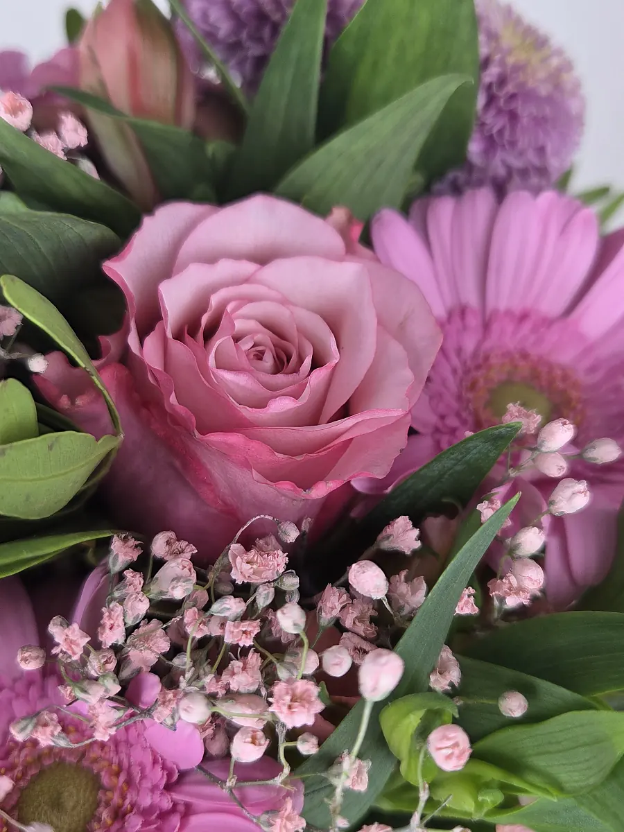Nahaufnahme BLUME2000 Strauß am Liefertag: rosa Rose, Gerbera und rosa Schleierkraut in Knospe