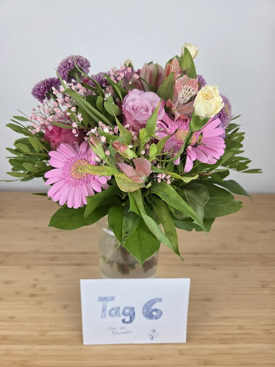 BLUME2000 Strauß Tag 6, Alstromerien voll geöffnet, der Strauß am vollsten