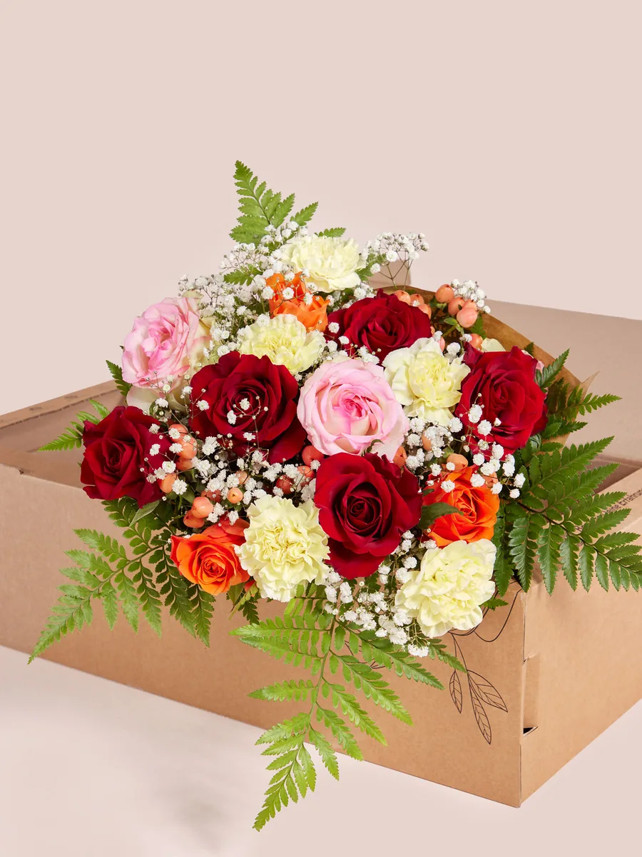 Strauß Nur für Dich von Bloomy Days mit roten und rosa Rosen, cremefarbenen Nelken und Farn im Versandkarton
