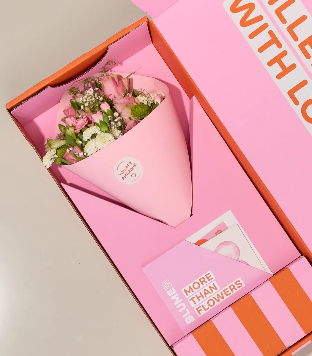 XOXO-Box Blush