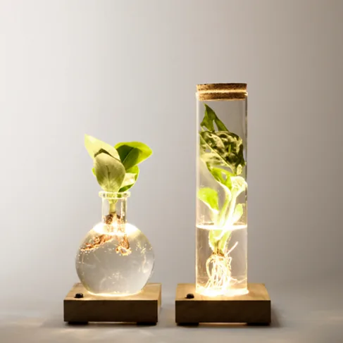 2er-Set Waterplants mit LED-Lichtern