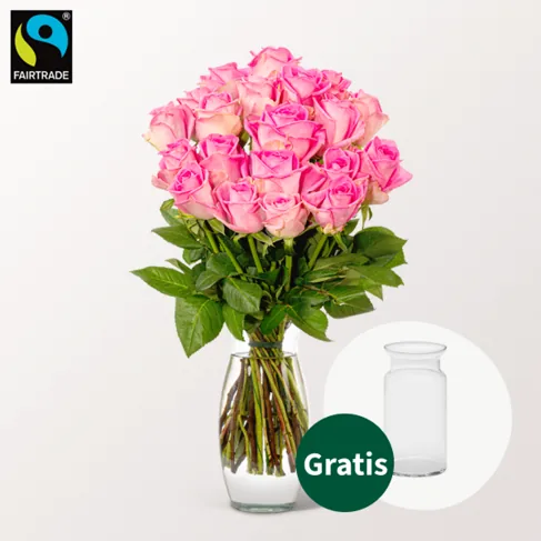 20 pinke Fairtrade Rosen im Bund