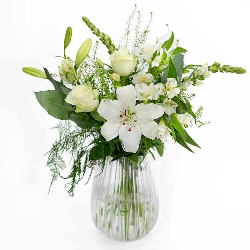 Weiße Wiesenblumen