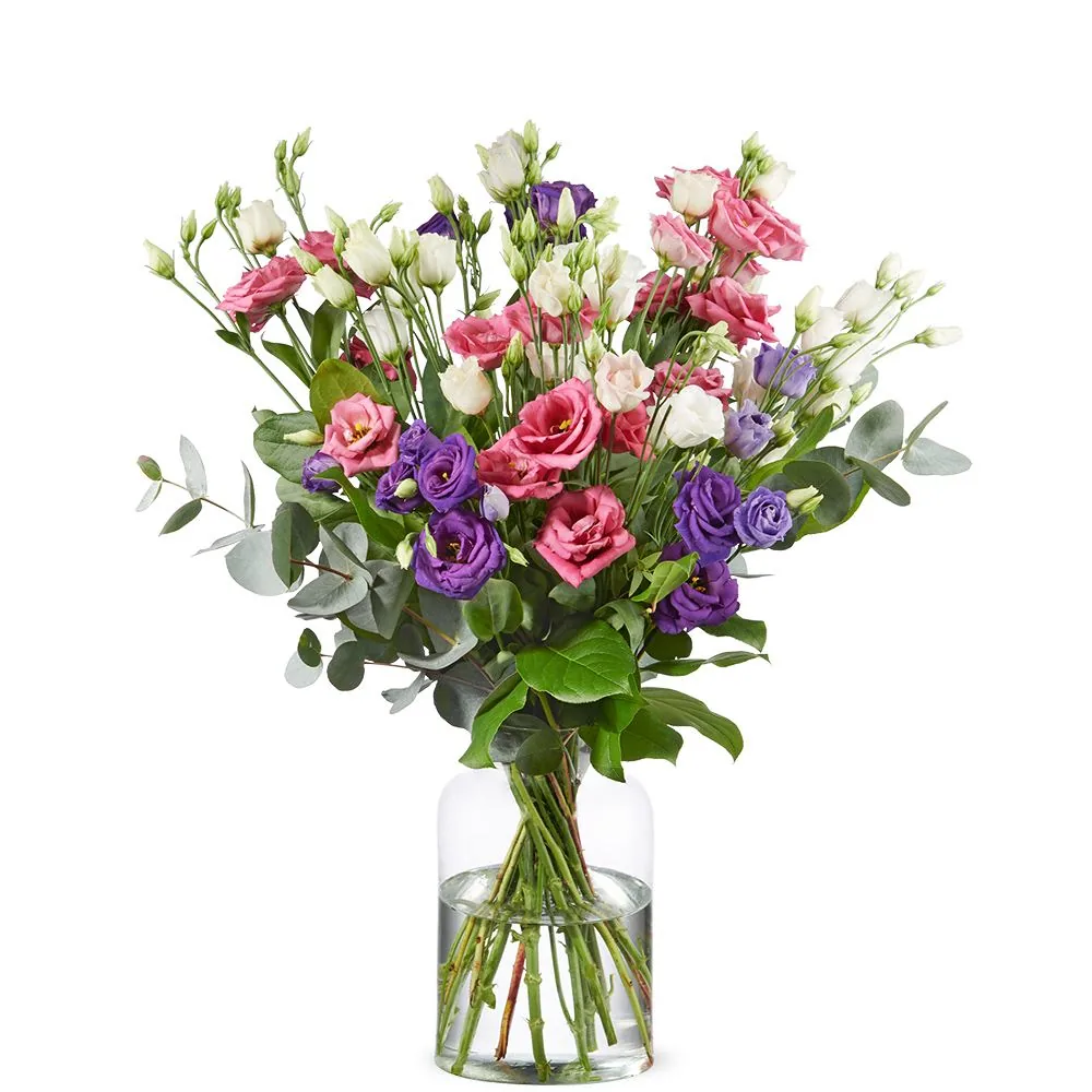 Lila und rosa Lisianthus