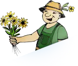 Herr Pusteblume