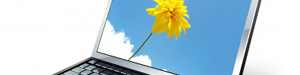 Was für den Blumenkauf im Internet wichtig ist