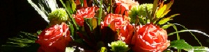 Fair gehandelte Blumen
