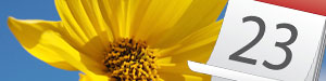 Blumen Heute bestellen