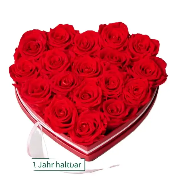 Infinity Rosen zu Valentinstag
