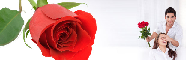 Blumen zum Valentinstag
