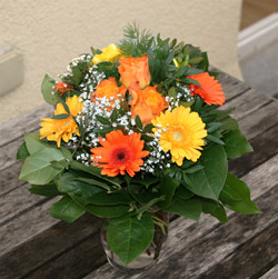 Testbericht Blume2000