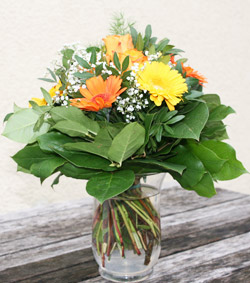 Testbericht Blume2000