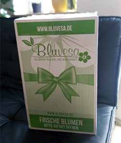 Blumenversand Frischebox Bluvesa