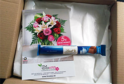 Bluvesa Verpackung offen