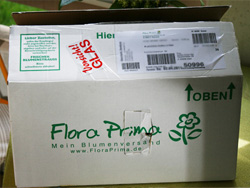 Testbericht Floraprima