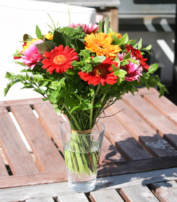 Testbericht JollyFlowers