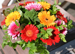 Testbericht JollyFlowers