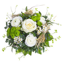 Testbericht Lidl Blumen