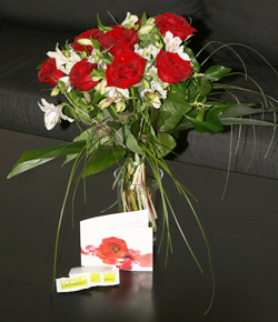 Testbericht Rosenbote