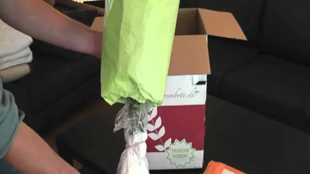 Der Rosenbote-Karton mit Aufdruck Frische Rosen wird geöffnet