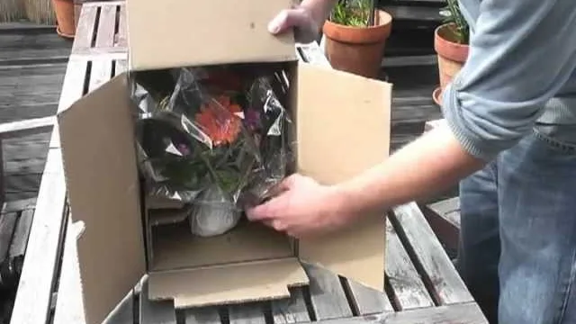 Der Valentins-Karton wird auf der Terrasse geöffnet, darin der Strauß Citylights in Cellophan